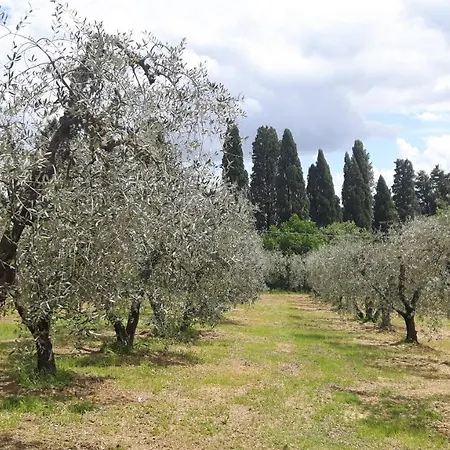 Podere Sertofano * Barberino di Val dʼElsa