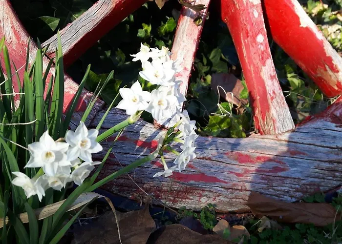 ファームステイ Podere Sertofano *