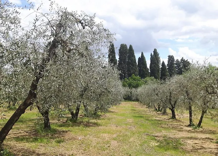 Podere Sertofano * バルベリーノ・ヴァル・デルサ